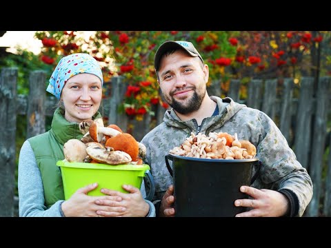 Видео: ДЕРЕВЕНСКИЙ РОМАН ДЛИНОЮ В ЖИЗНЬ | ЗАГОТОВИЛИ ГРИБОВ И ОТДОХНУЛИ | ГОТОВИМСЯ КОПАТЬ КАРТОШКУ