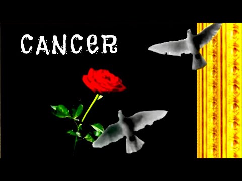 Видео: РАК 111 Можем ли мы подтвердить это? Десятилетний цикл магической башни наконец-то рухнул.