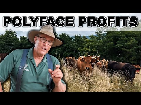 Видео: 3 СОВЕТА ПО ФЕРМЕРСКОМУ БИЗНЕСУ от Джоэла Салатина | Polyface Farms Документальный фильм «Безумны...