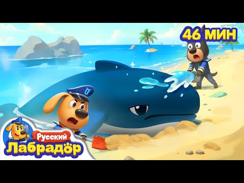 Видео: Ужасающий морской монстр｜Герой в жизни｜Безопасность Животных｜Сборник для детей｜Шериф Лабрадор