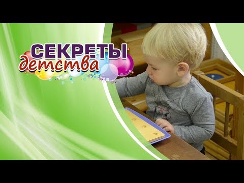 Видео: Программа "Секреты Детства" "Сензитивные периоды в жизни ребенка"