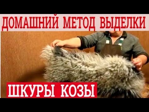 Видео: Выделка шкуры козы в домашних условиях. Технология обработки козлины