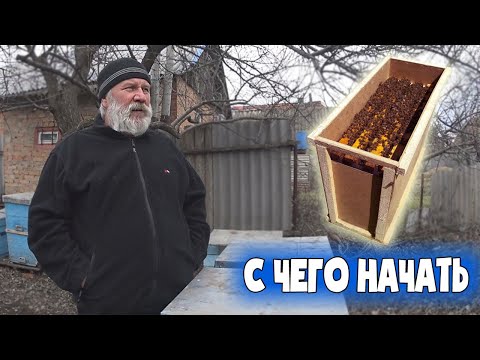 Видео: Пчелопакет либо пчелосемья с чего лучше начать  Пчеловодство 2021 Пчеловодство для начинающих