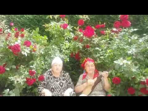 Видео: Жаны Арык айылынын тургундарына ырдесте!