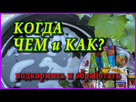 Видео: Обработка и подкормка ВИНОГРАДА перед ЦВЕТЕНИЕМ!