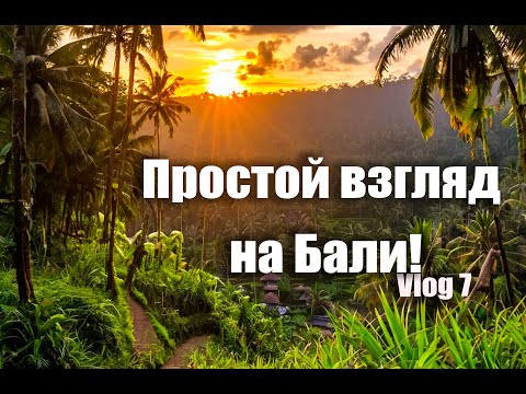 Видео: Простой взгляд на Бали!