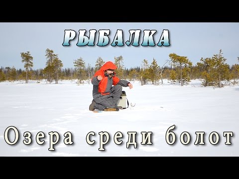 Видео: Рыбалка на Севере в апреле. Озёра среди болот.