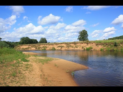 Видео: Поход по реке Луге