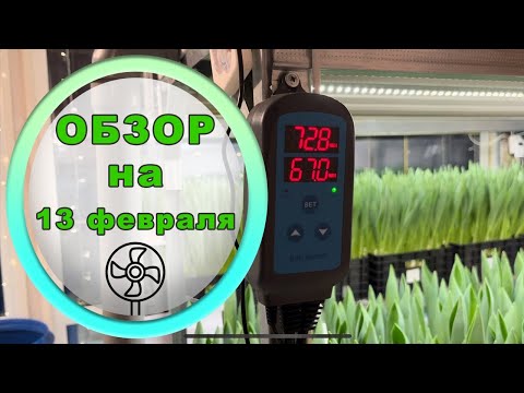 Видео: Про вентиляцию, и немножко про выгонку 13 февраля // 2023