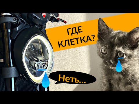 Видео: не ОБЗОР Ducati Monster 937 (новый Монстр)