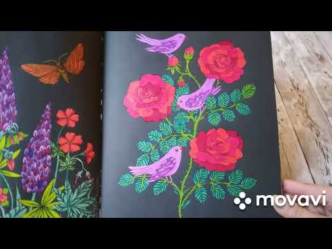 Видео: Раскрашенное за месяц ноябрь 2022.