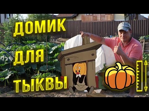 Видео: Опыление гиганта, тонкости и нюансы выращивания гигантских тыкв