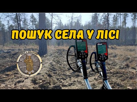 Видео: Пошук села у лісі. Коп з Nokta triple score 3 (нокта тріпл скор 3)