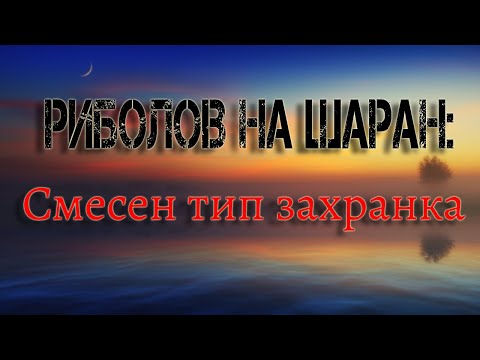 Видео: Риболов на шаран: Смесен тип захранка