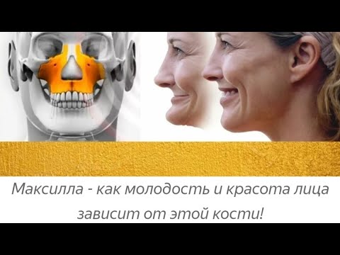 Видео: Максилла и Старение Лица: Эффективные Упражнения для Молодости и Красоты