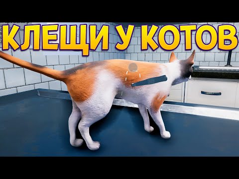 Видео: КЛЕЩИ У КОТОВ ( Animal Shelter )