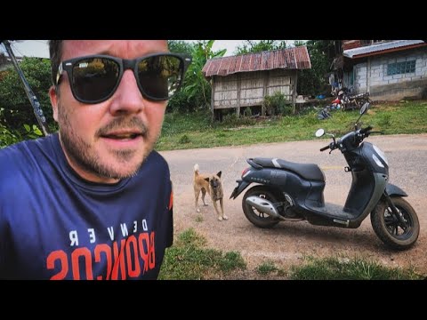 Видео: Я променял Великобританию на джунгли Таиланда...