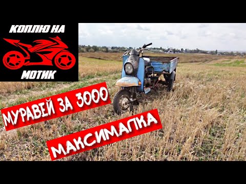 Видео: МУРАВЕЙ ВАЛИТ НА РОДНОМ ДВИГАТЕЛЕ. [ЧАСТЬ2]