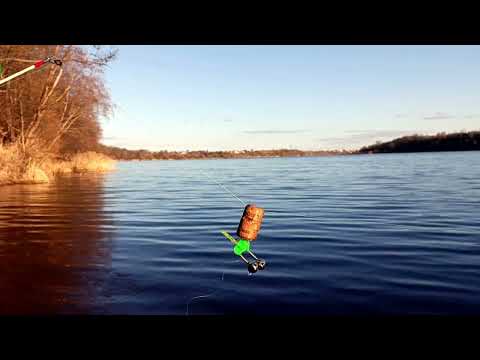 Видео: 06.04.25 вечер. Поклевки ершей на донку. Леща нет.