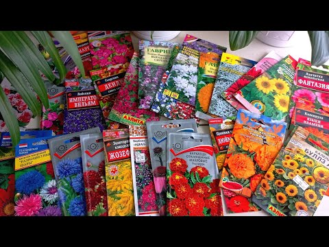 Видео: Семена цветов на 2024 год.