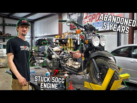 Видео: Мы вытащили из леса захваченный мопед Honda Ruckus. Сможет ли он снова поехать?