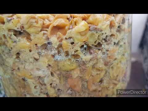 Видео: Виноградное сухое белое и десертные вина.