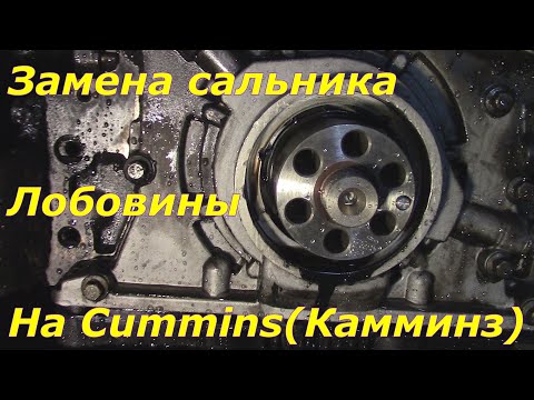 Видео: Замена сальника лобовины Камминз(Cummins)
