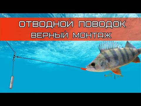 Видео: ОТВОДНОЙ ПОВОДОК! Лучший способ МОНТАЖА для ловли ОКУНЯ!!!