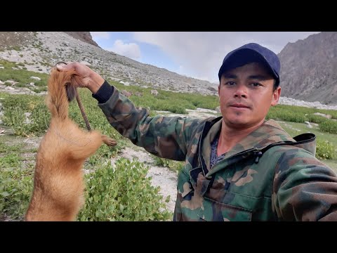 Видео: Искандаркул зона одих
