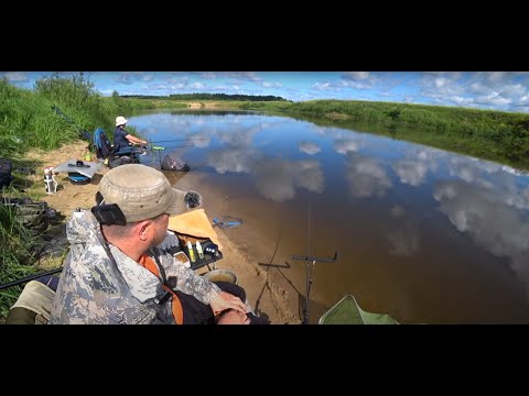 Видео: С фидером на малую речку!