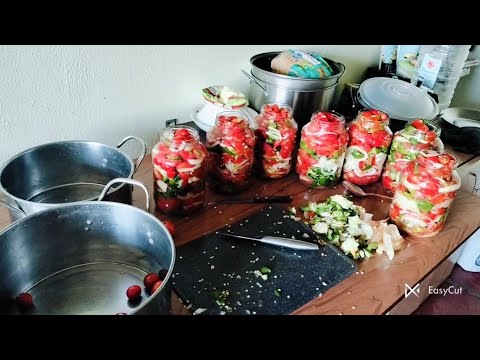 Видео: Що я роблю? Що я роблю?Smack life