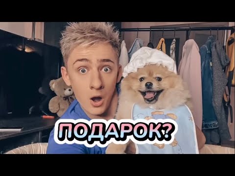 Видео: ПОЛНЫЙ СБОРНИК ВИДЕО «ЗНАКИ ЗОДИАКА»😍