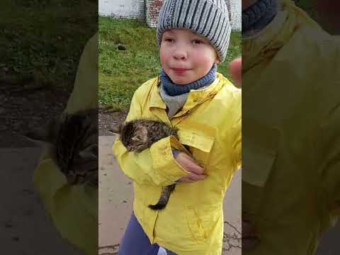 Видео: 31 жовтня 2025 р.