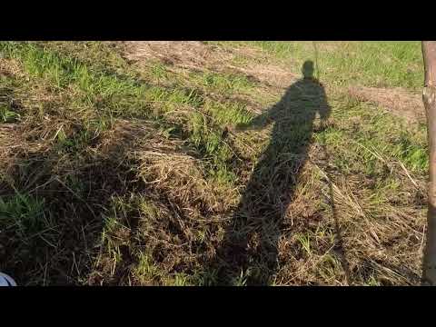 Видео: Река  Ясельда.  Рыбалка на щуку