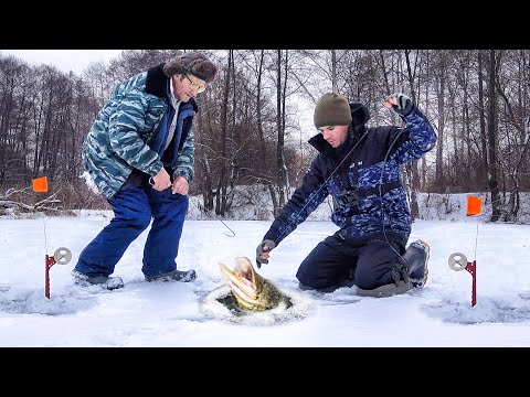 Видео: РЫБАЛКА на ЖЕРЛИЦЫ 2024... ЛОВЛЯ ЩУКИ ЗИМОЙ со ЛЬДА!!! ДОСТАЛИ СЕТИ БРАКОНЬЕРОВ