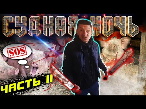 Видео: В РОЗЫСКЕ! (ночь в свинарнике)