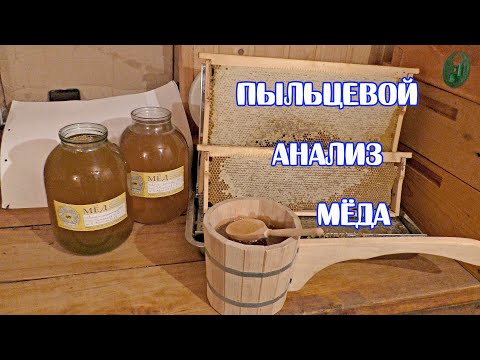 Видео: Что продают под видом мёда. Пыльцевой анализ как метод контроля подлинности мёда.