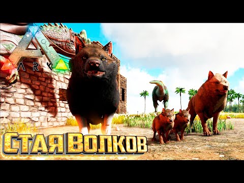 Видео: Я Отправлялся не за Этим - ARK Survival Evolved Island Выживание #9