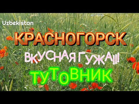 Видео: Uzbekistan Tashkent КРАСНОГОРСК   ВКУСНАЯ ГУЖА ТУТОВНИК ПОСПЕЛ!