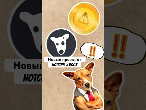 Видео: Новый проект от NOTCOIN и DOGS