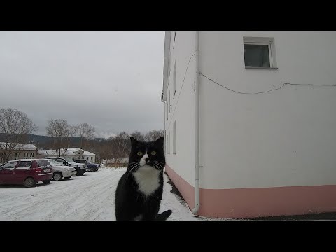 Видео: Покатаемся по городу, № 274.Куса.Златоуст.Челябинск.(декабрь 2024).D White. All the story is history