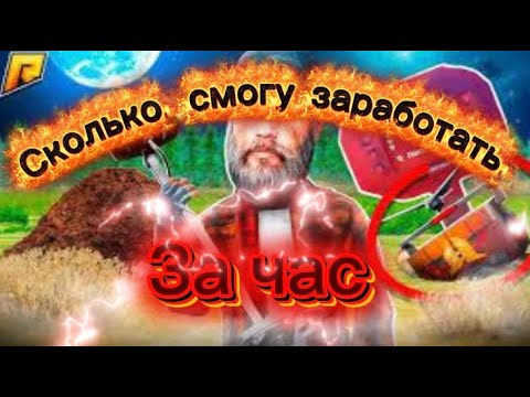 Видео: Сколько я смогу заработать на Работе Металоисскателя за Час на Радпмир Рп