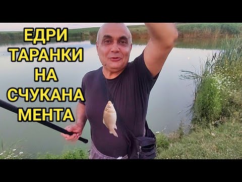 Видео: Майсторски риболов по залез слънце! Счуканата прясна мента си каза думата и рибата не ѝ устоя!