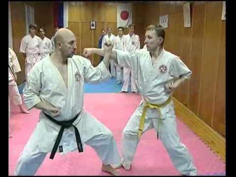 Видео: Дан тест  На тренировке у Николая Коровина 2