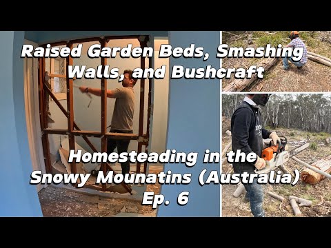 Видео: Высокие грядки, снос стен и кусторез | Усадьба в заснеженных горах (Австралия) - [Эпизод 6]