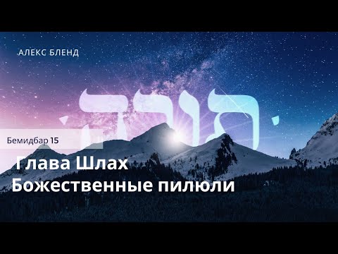 Видео: Недельная глава Шлах.  Божественные пилюли. Бемидбар 15
