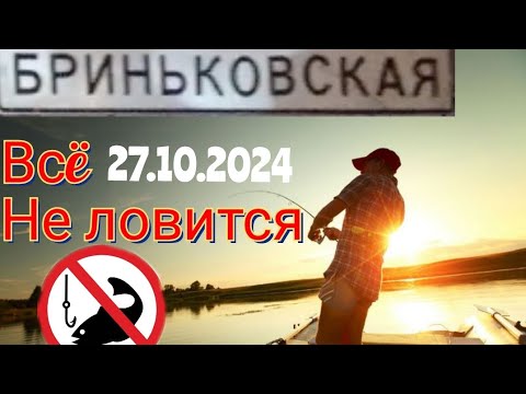 Видео: рыбалка Бриньковская людей тьма а рыбы НЕТ