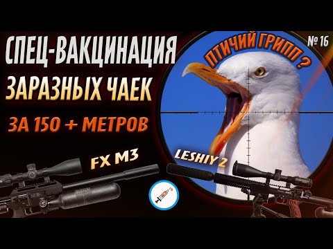 Видео: Санитарный отстрел Заразных Чаек. № 16. Леший 2 + FX Impact M3. Jack Hunter.