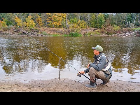 Видео: Рыбалка на ХИЩНЫЕ ДОНКИ! МЫ аж ОФИГЕЛИ, КОГДА его ДОСТАЛИ! , с ночевкой в 2024