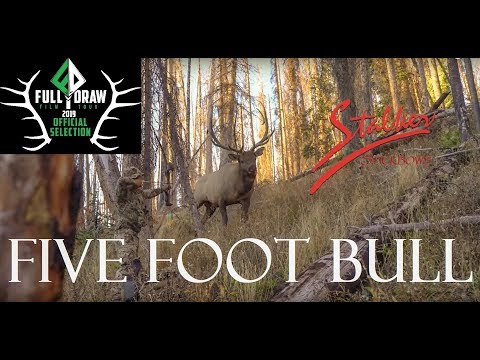 Видео: FIVE FOOT BULL - Фильм о Сталкере и Палках